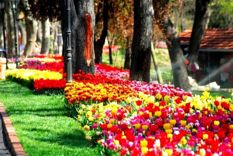 Фестивалът на лалето в Истанбул, Принцови острови снимка 10