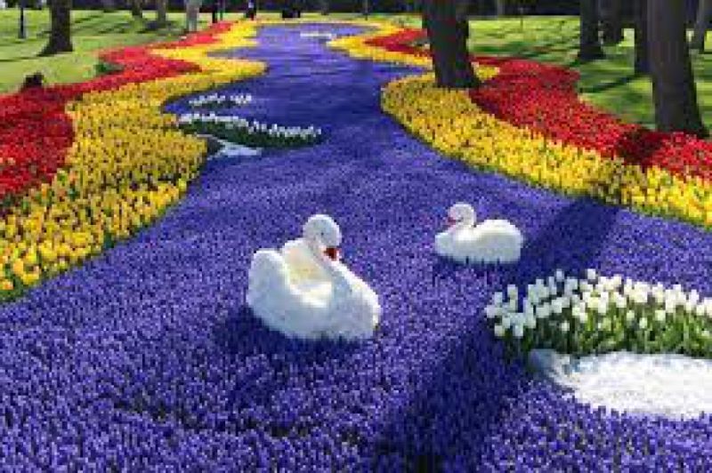 Фестивалът на лалето в Истанбул, Принцови острови снимка 1
